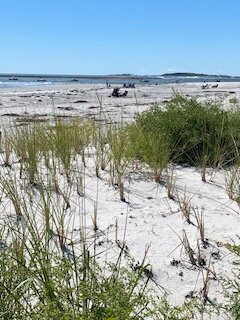 Goose Rocks Beach景点图片