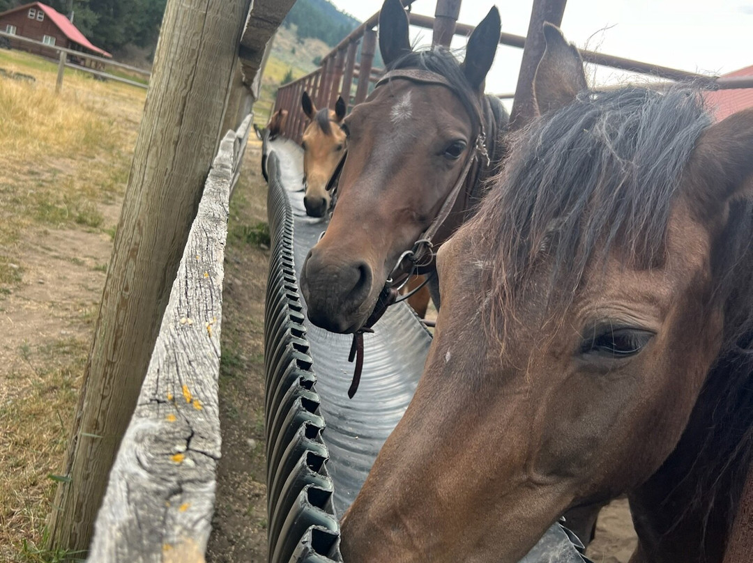 Sweet Grass (Dude) Ranch主图