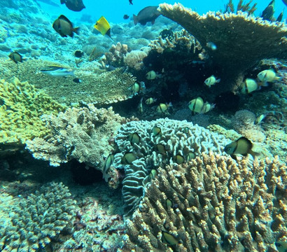 Ocean Gravity Dive Center Bali-沙努尔必去景点