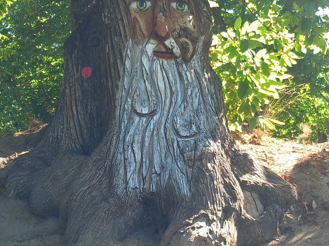 El Bosque Encantado景点图片
