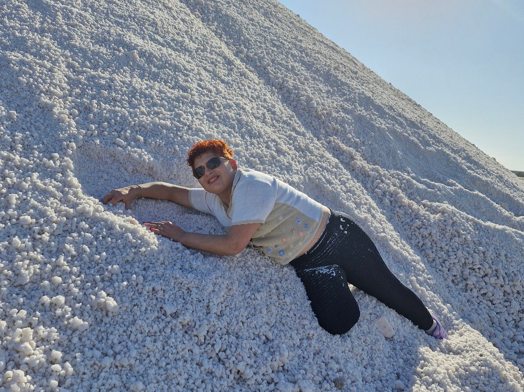 Salinas del Bebedero-San Luis必去景点