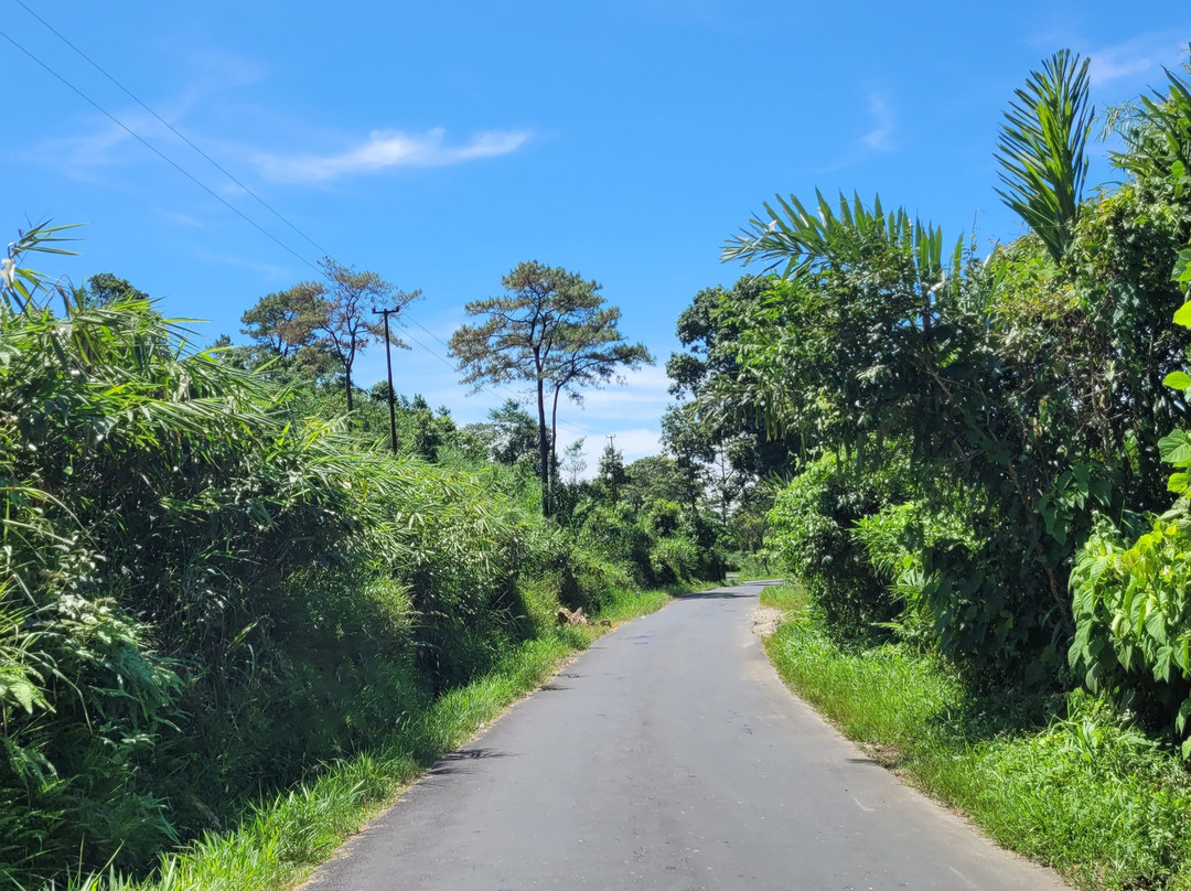 NorthEast Guide-古瓦哈提必去景点