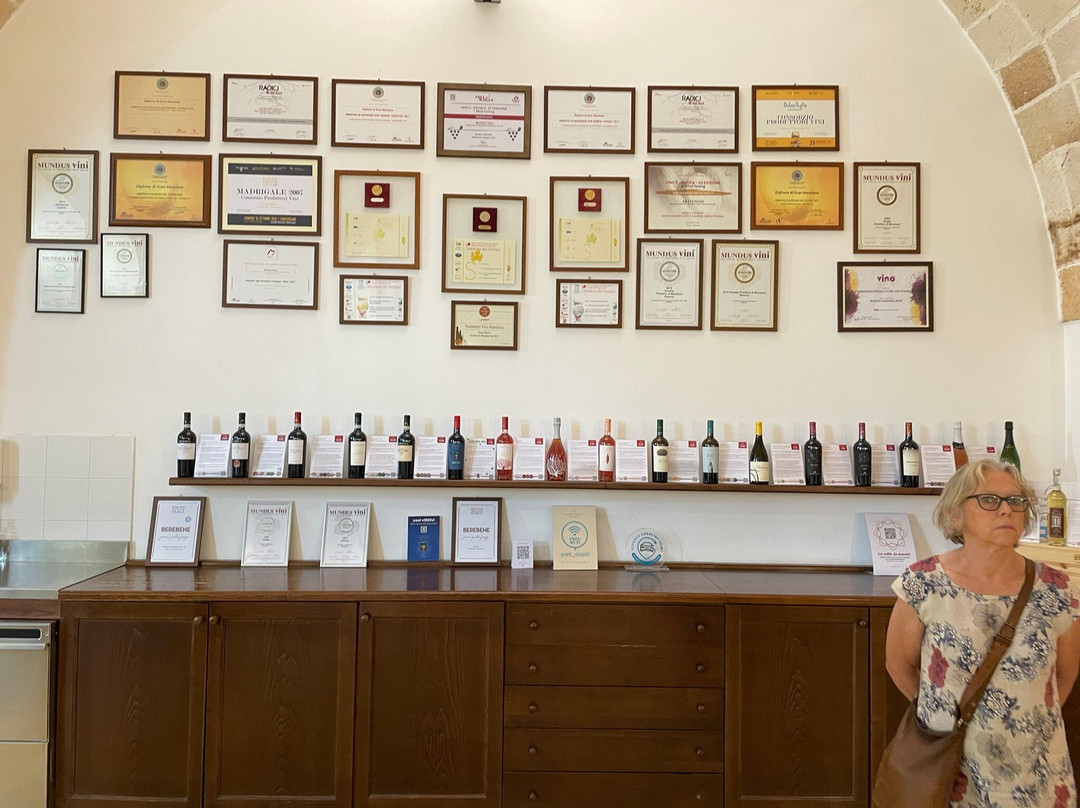 Museo della Civilta del Vino Primitivo-Manduria必去景点