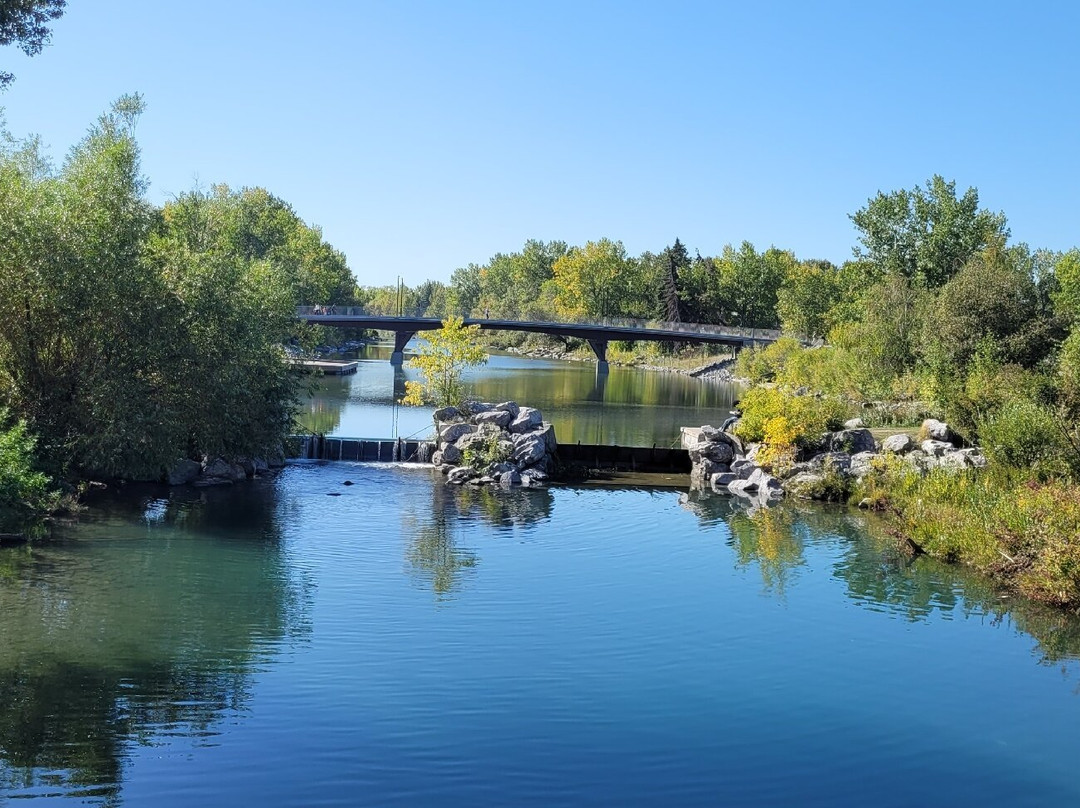 王子岛公园 -卡尔加里必去景点