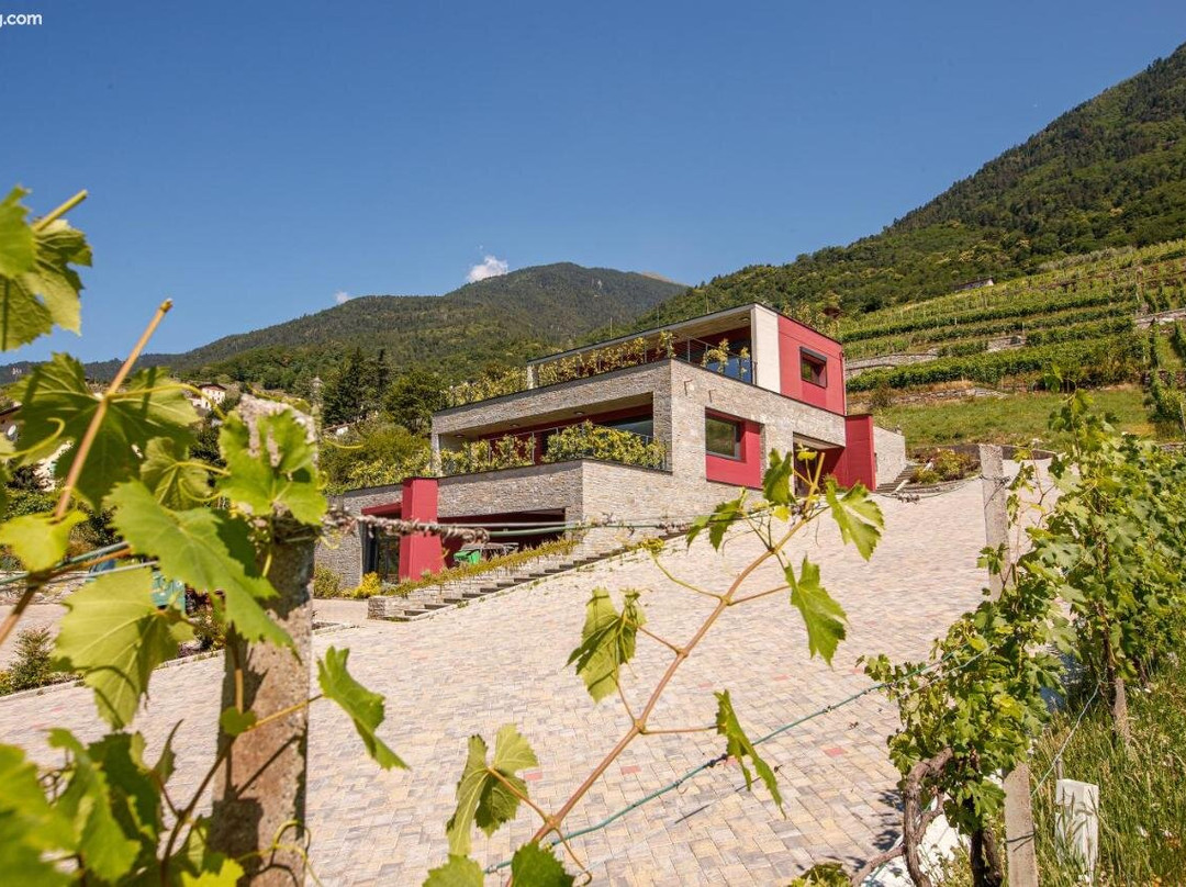 Nebbiolo Wine B&B主图
