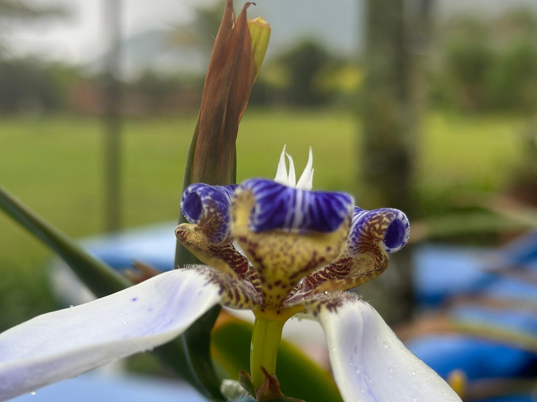 Antares Club Hotel Lagoinha主图