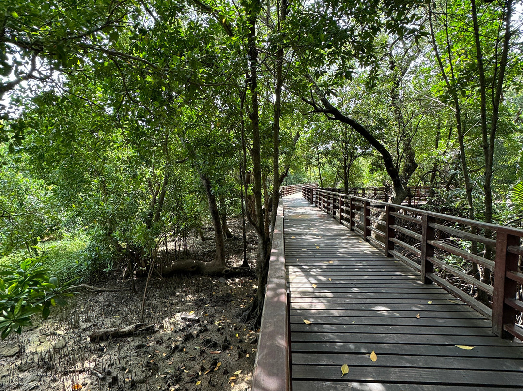 Mangrove Forest Learning Center-罗勇必去景点