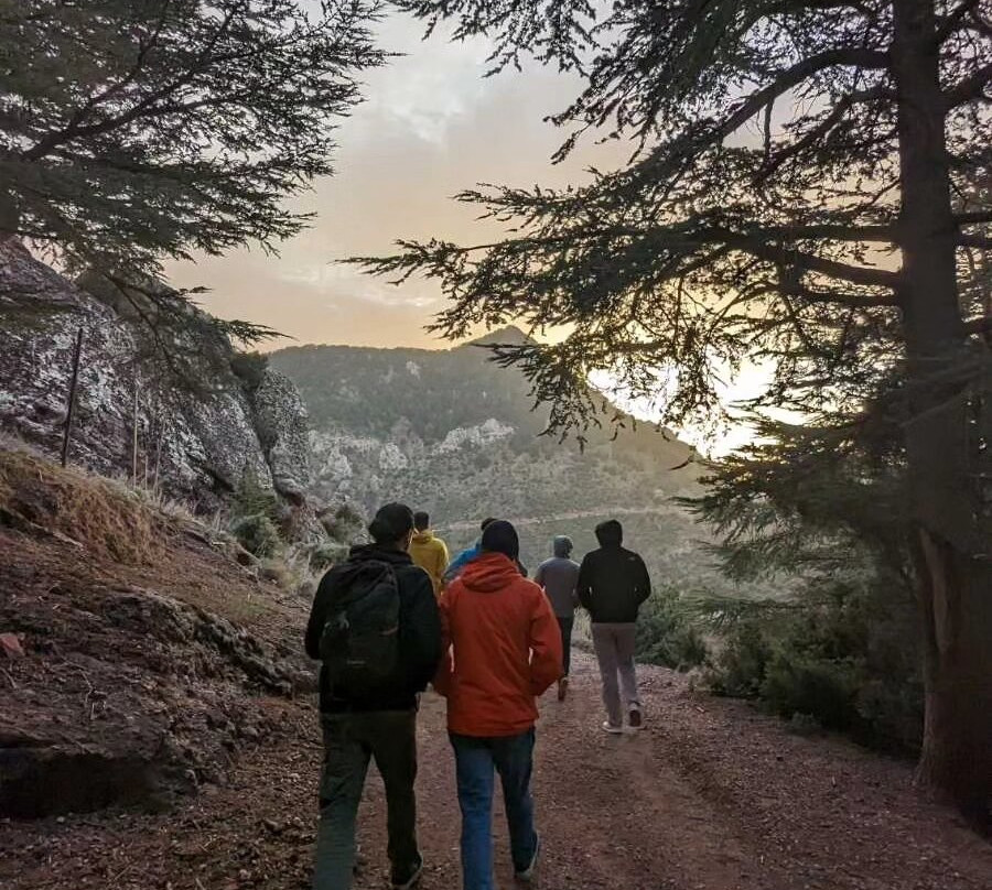 Tikjda National Park景点图片