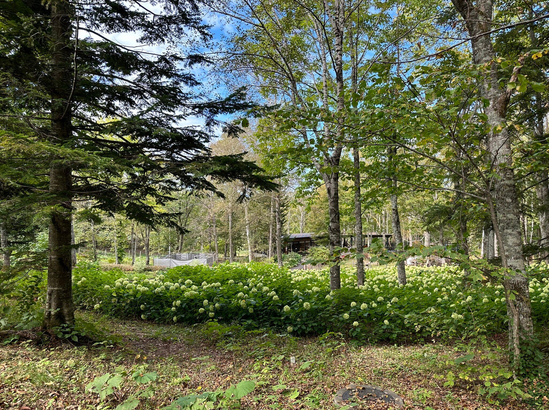 Oyuki Morino Garden-上川町必去景点