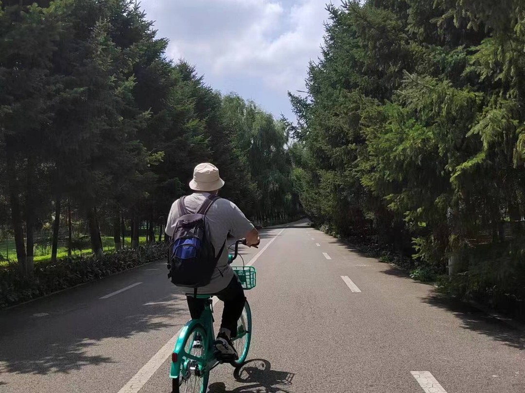 五里河公园-沈阳市必去景点