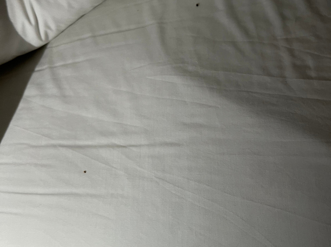 芝加哥北岸假日酒店主图