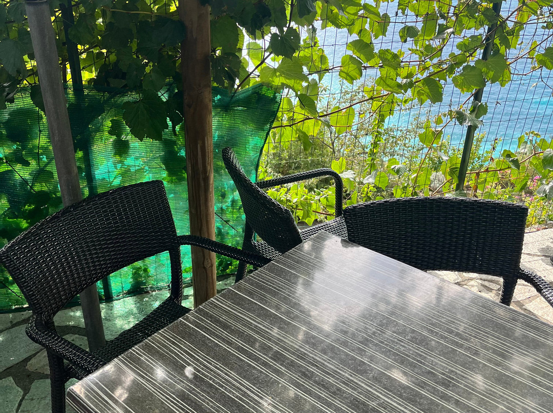 Bar il Giardino-里奥马焦雷必去景点