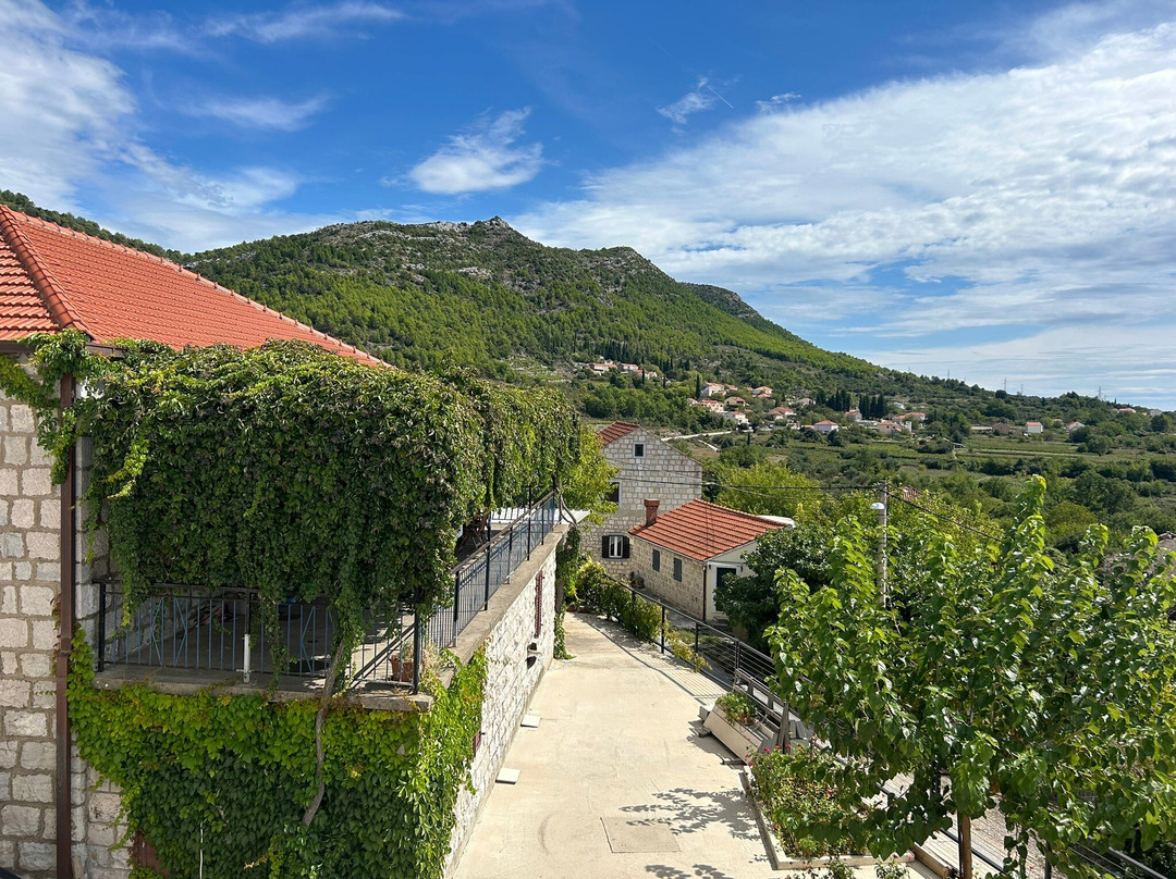 Milos Winery景点图片