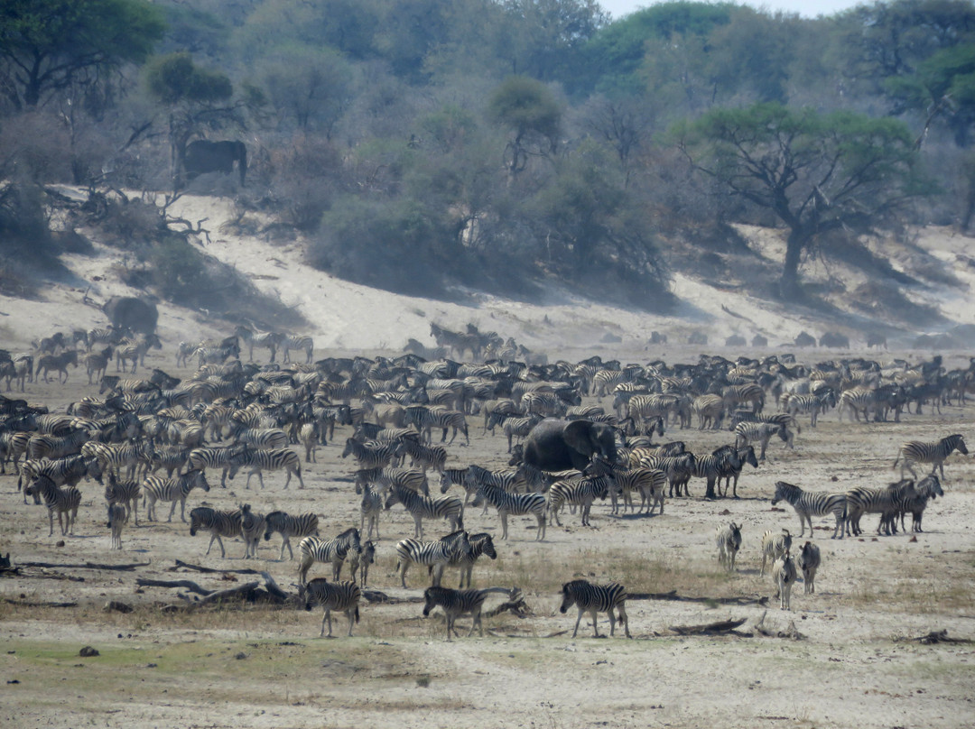 Makgadikgadi Salt Pan景点图片