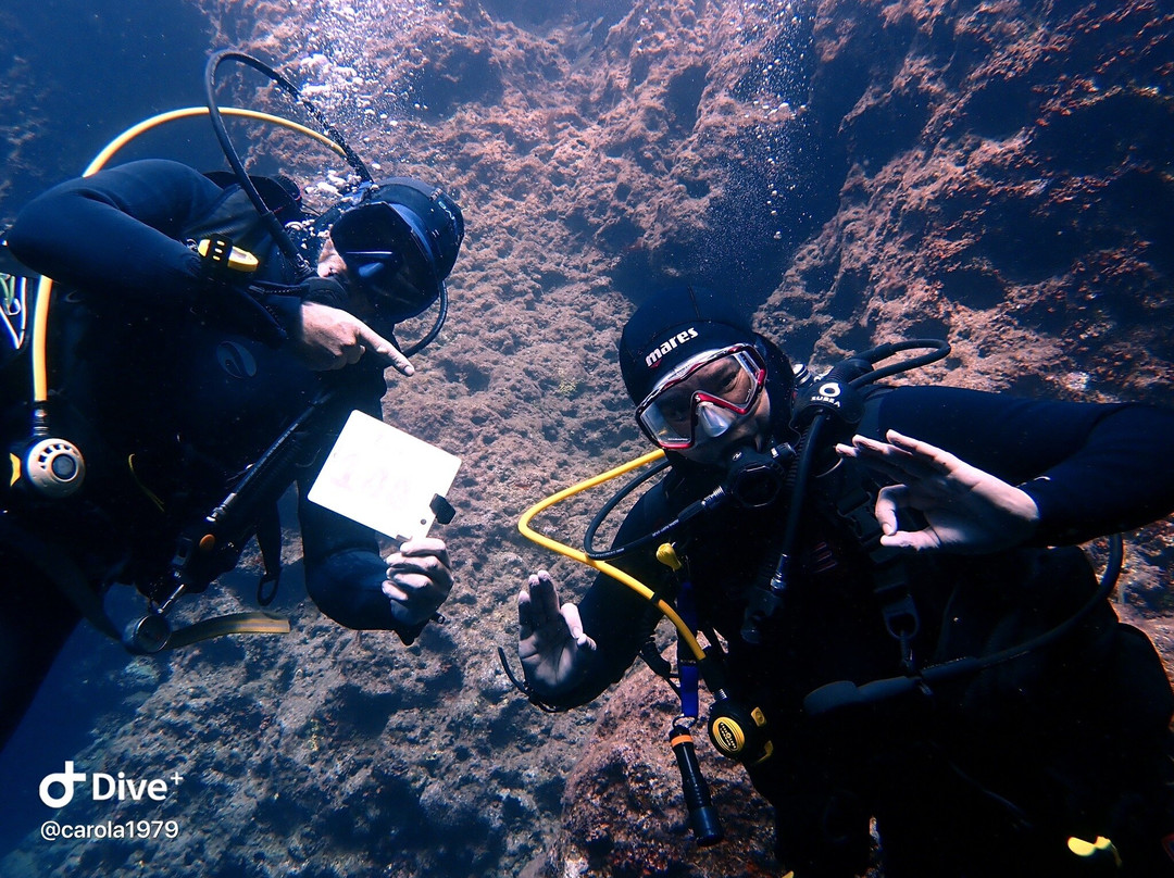 Bliss Dive-Marsalforn必去景点