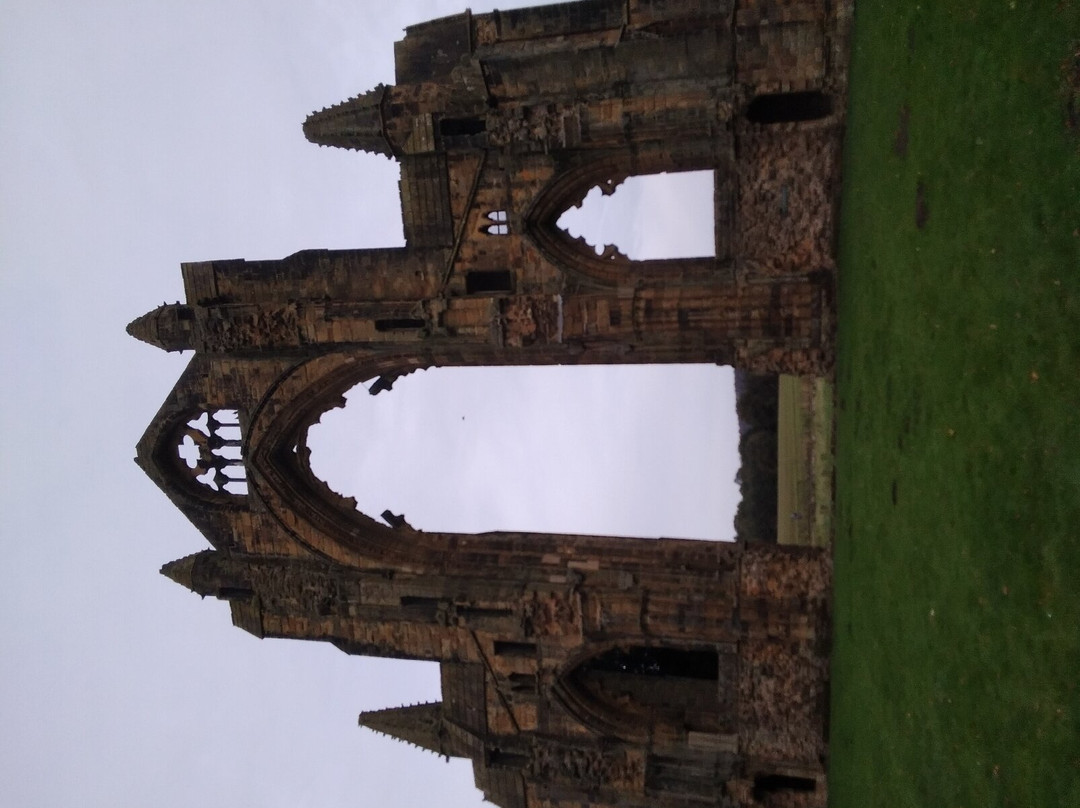 Gisborough Priory景点图片