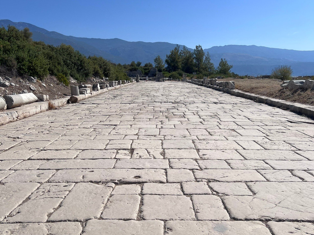 Xanthos Antik Kenti景点图片