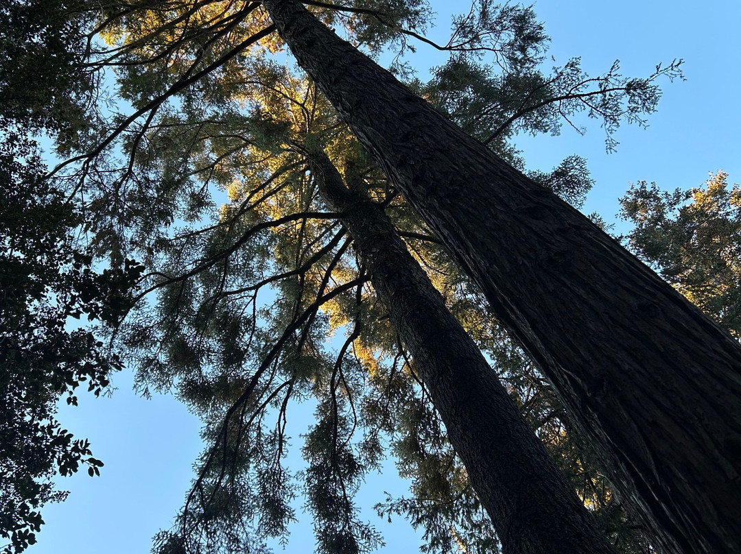 Bailey's on Palomar主图