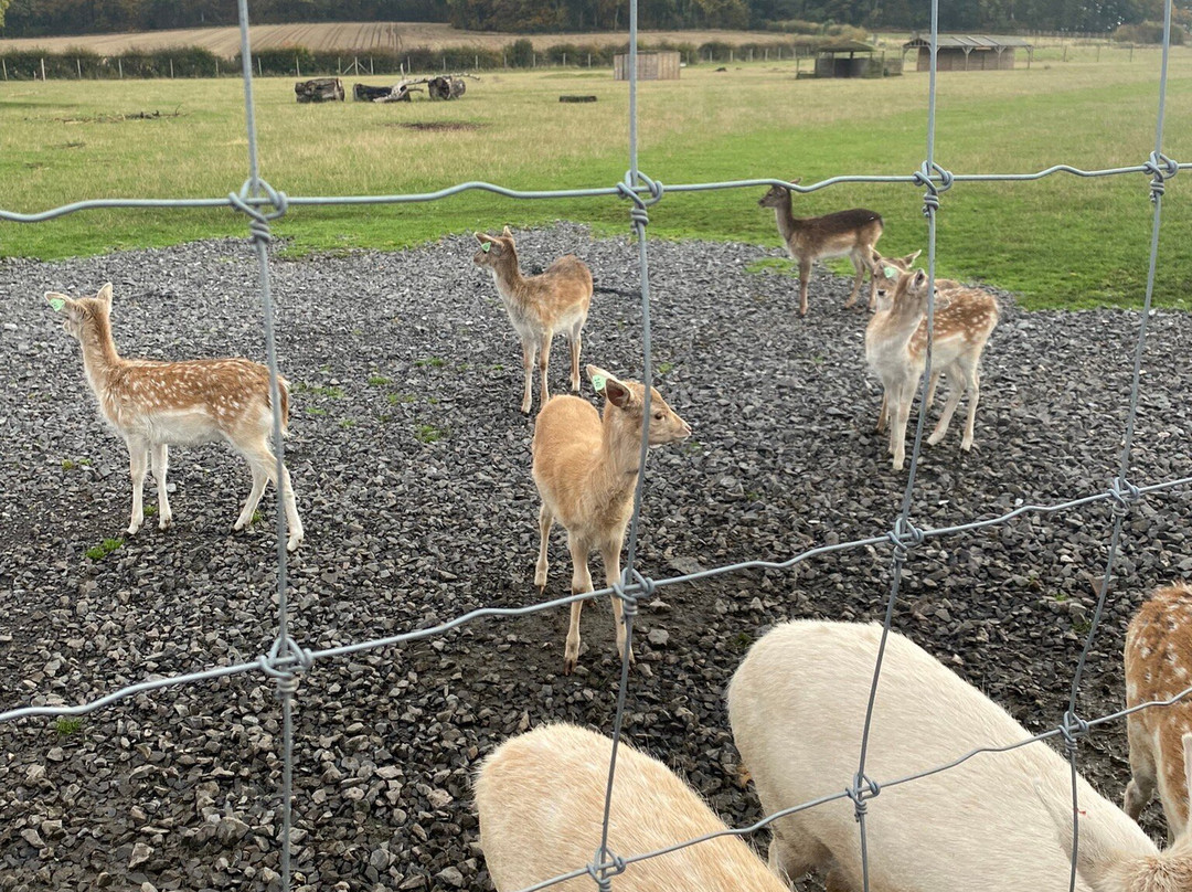 The Scottish Deer Centre景点图片