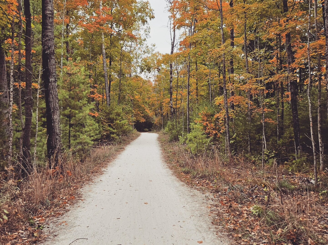 Edge Of Park Bike And Moped Rentals-Fish Creek必去景点