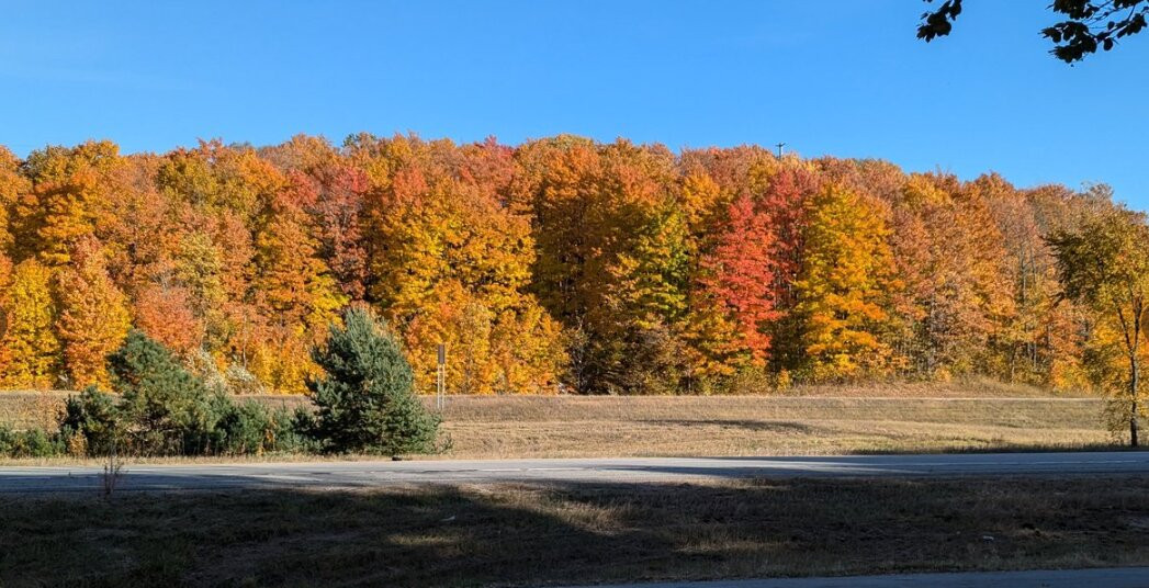 AmericInn by Wyndham Charlevoix主图