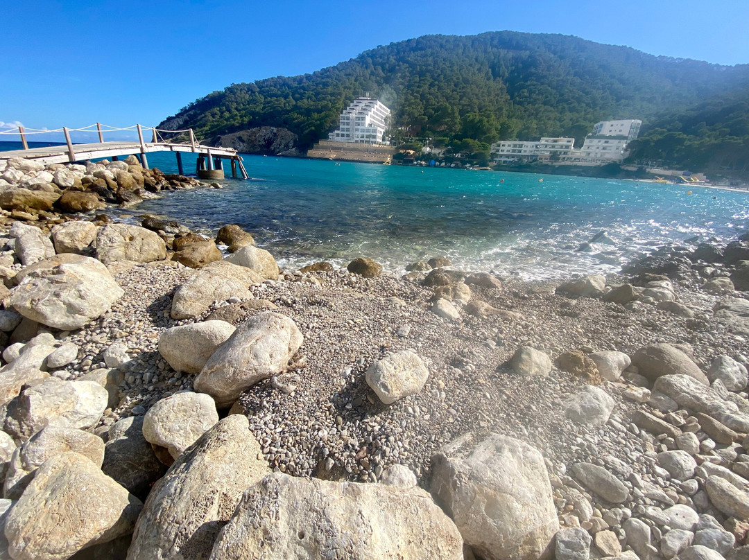 Playa Cala Llonga-Cala Llonga必去景点