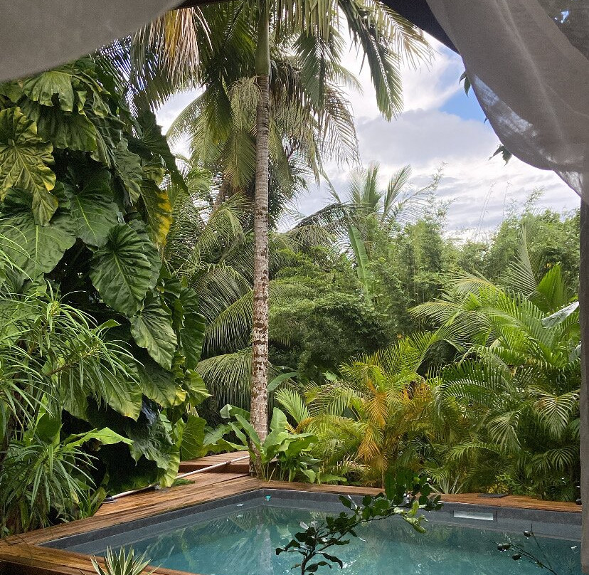 Aponi Massages Bien-être Et Spa-Goyave必去景点