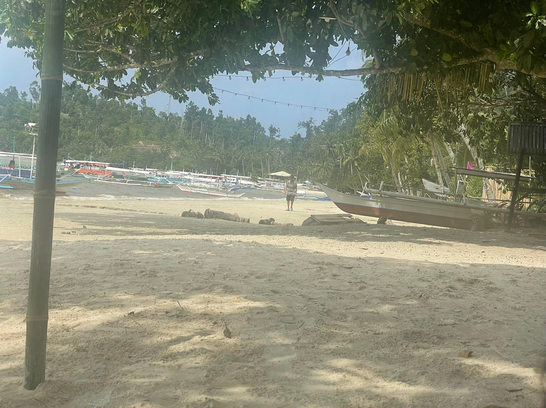 Theresa's Pension House