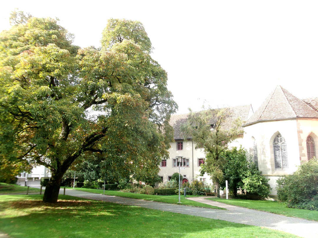 Mosergarten Schaffhausen-沙夫豪森必去景点