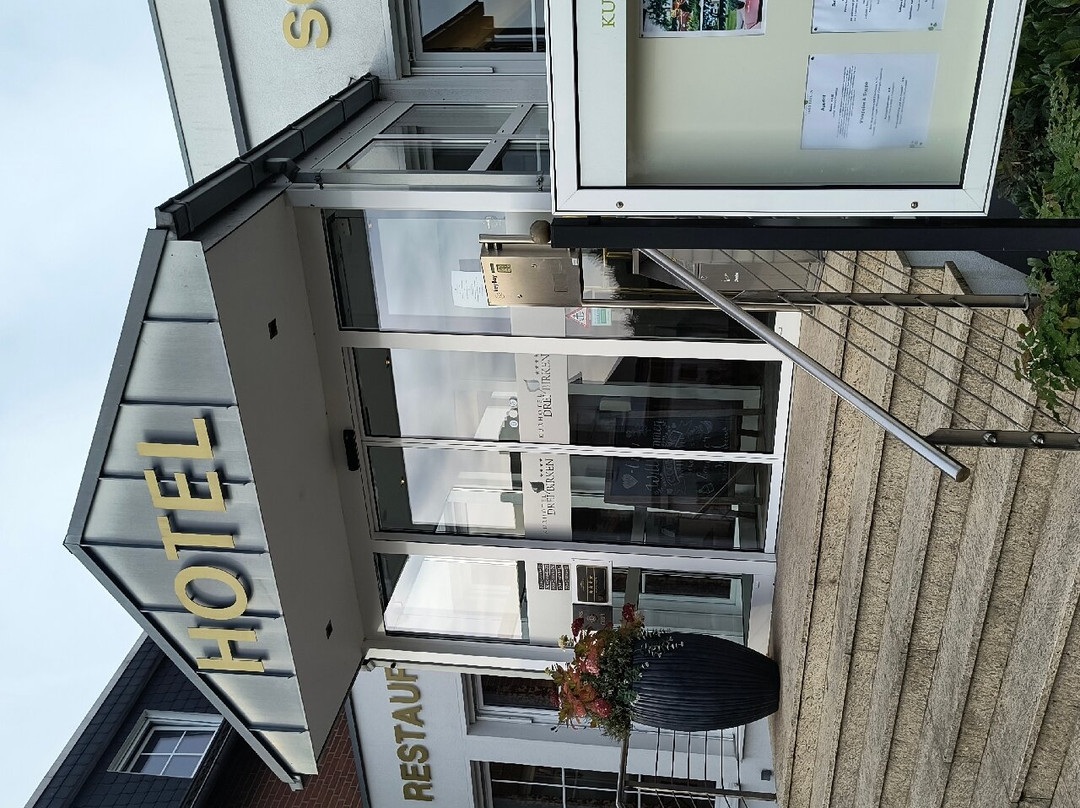 Hotel Drei Birken主图
