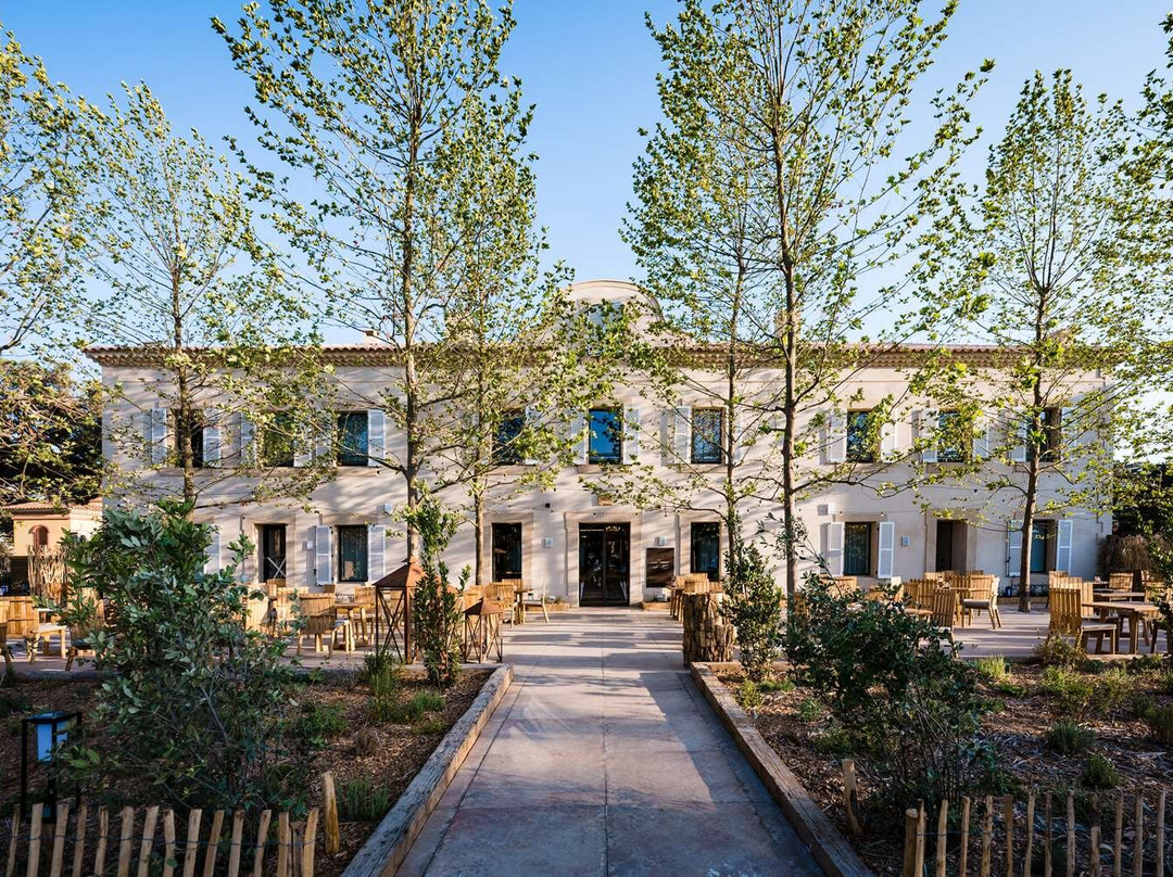 Le Hameau des Pesquiers Ecolodge & Spa, Curio Collection by Hilton
