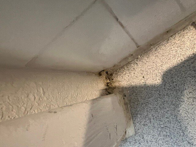 Days Inn By Wyndham Navasota主图