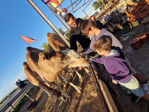 Morocco Tour Pro-非斯必去景点