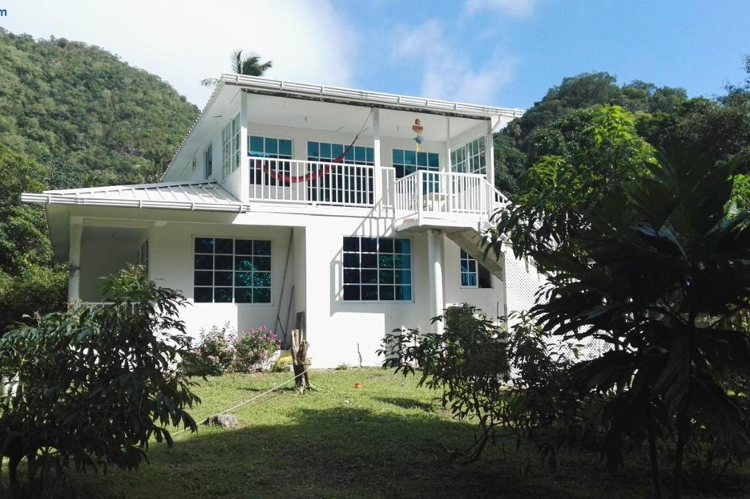 Posada Mango Tree