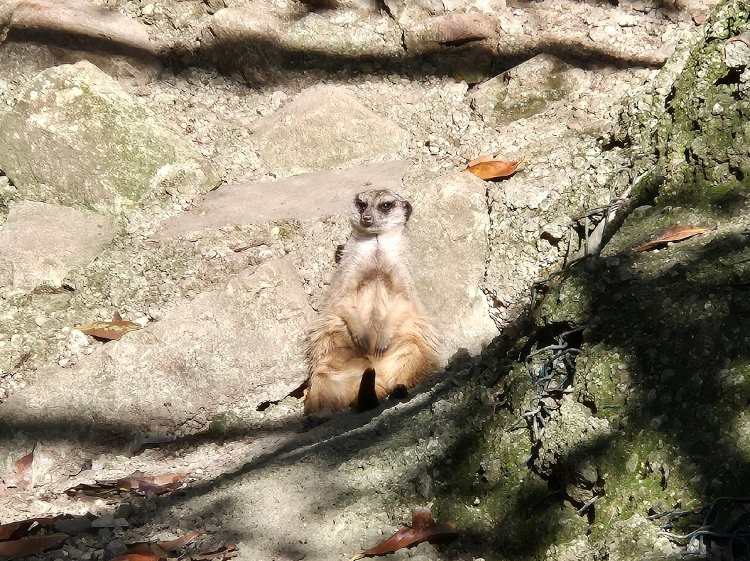 Parco La Rupe景点图片