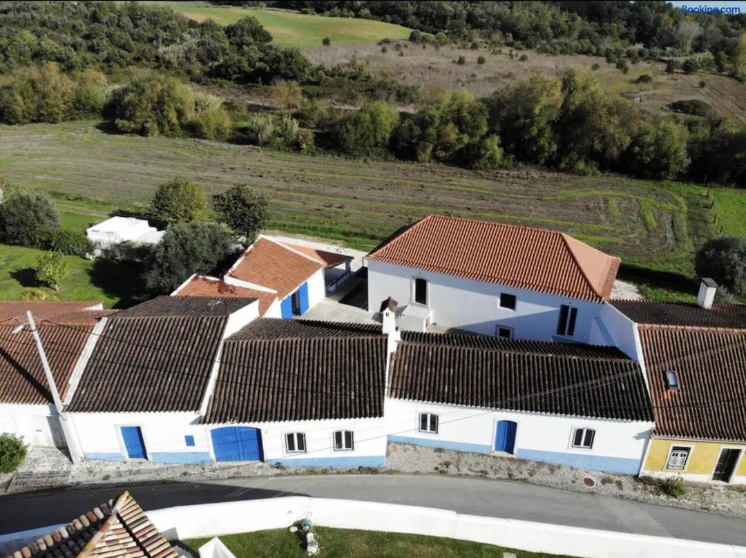 Azoia 10