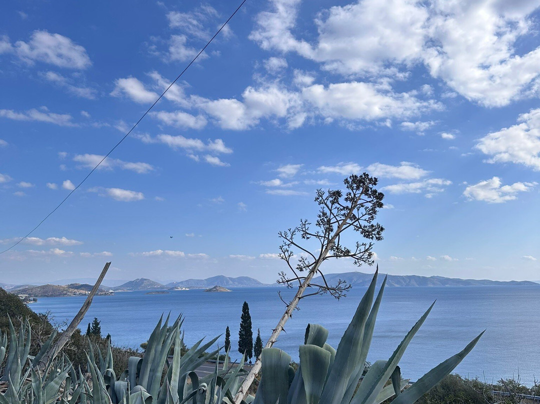 Railbiking in Greece景点图片