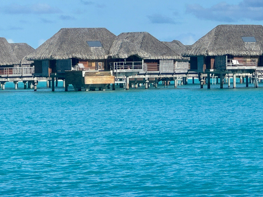 Manua Exquisite Tahitian Art景点图片