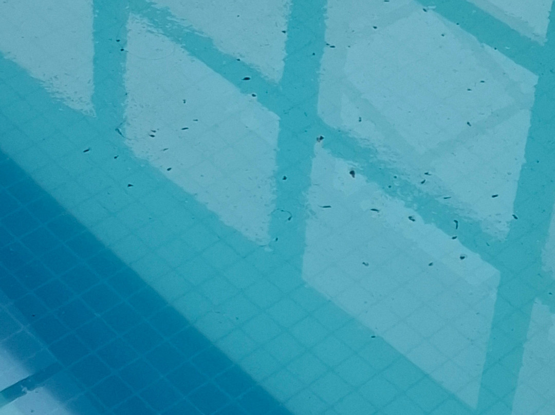 Plaza Inn Breeze Aeroporto主图