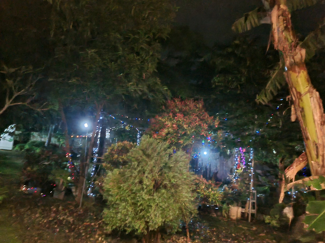 Bolod酒店住宿-Greenspace