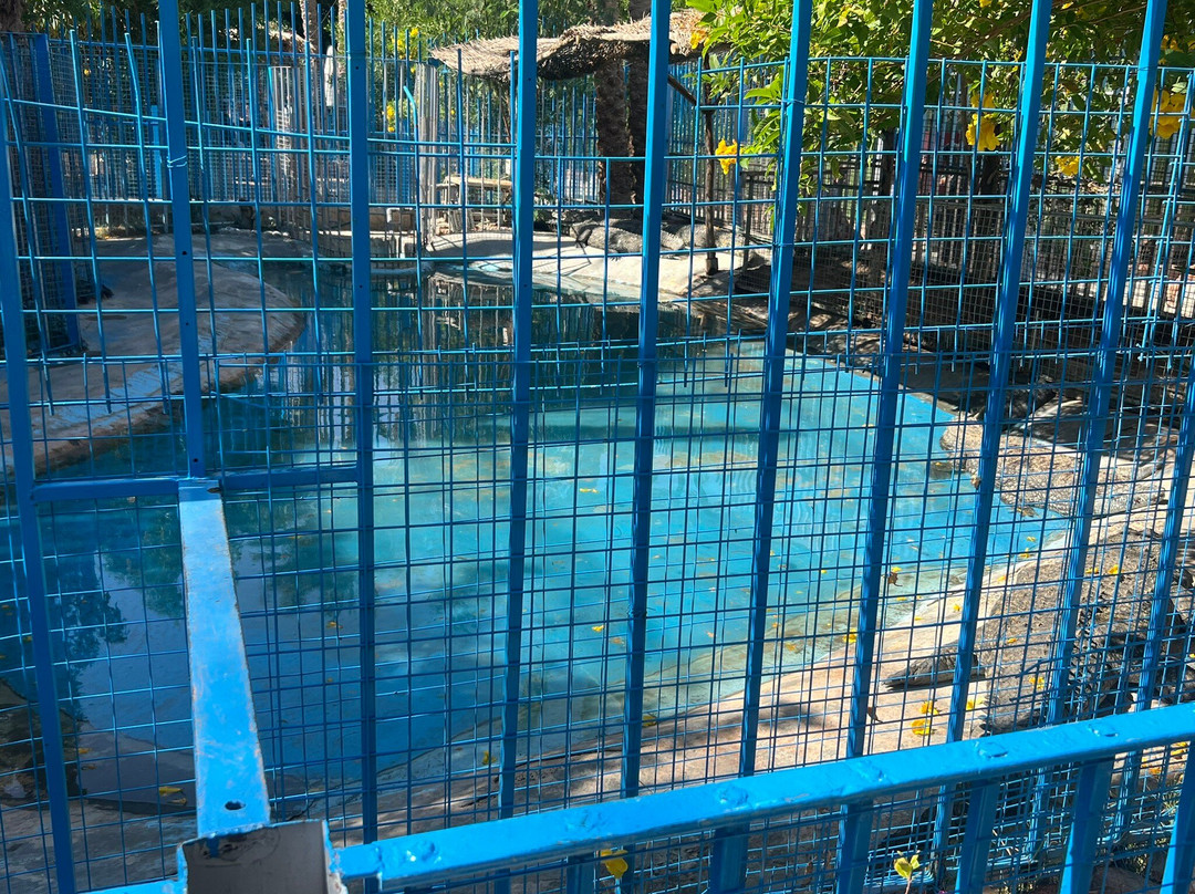 Hurghada Grand Aquarium-赫尔格达必去景点