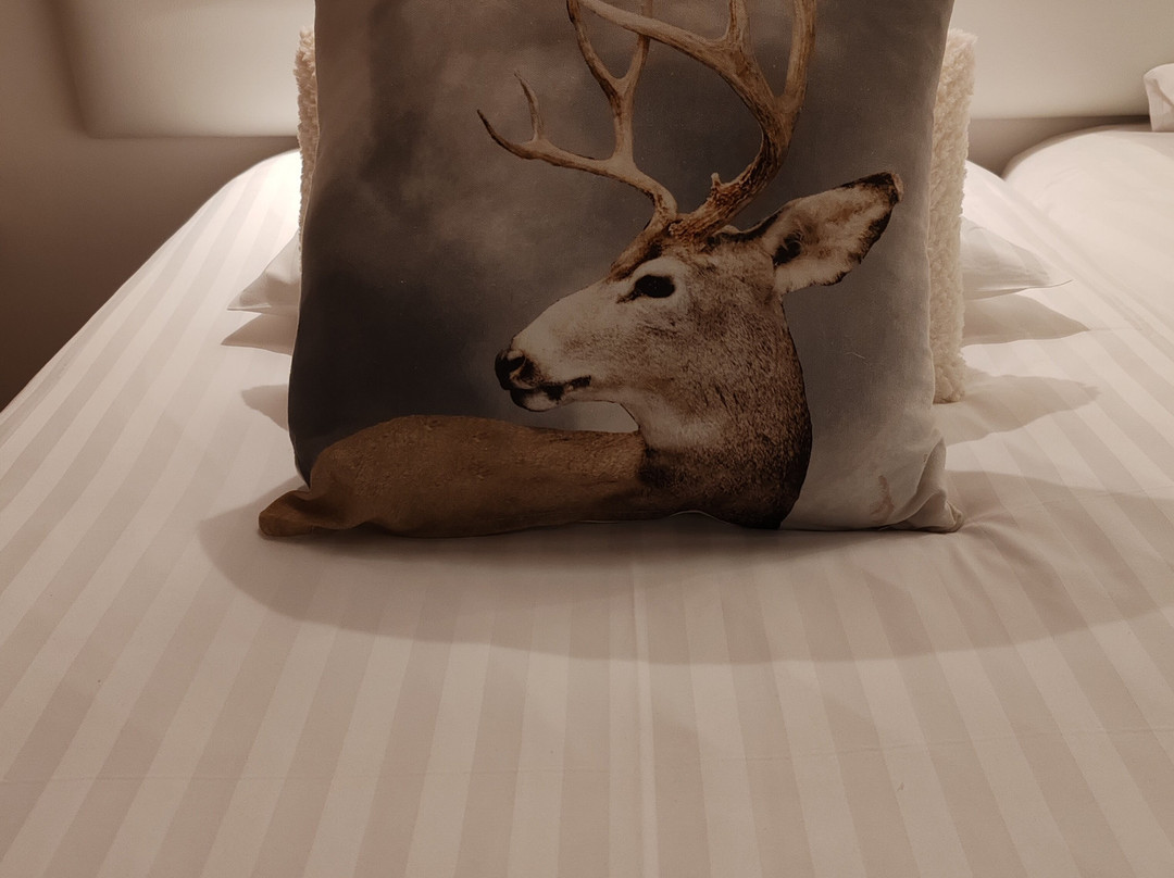 Domaine de l'Olifant主图