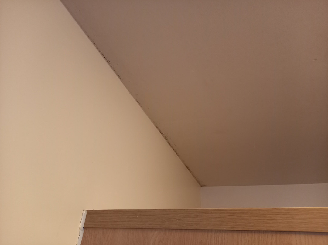 Travelodge Berwick upon Tweed主图