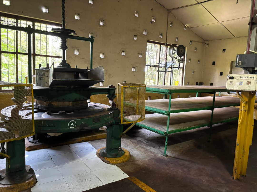 Storefield Tea Factory景点图片