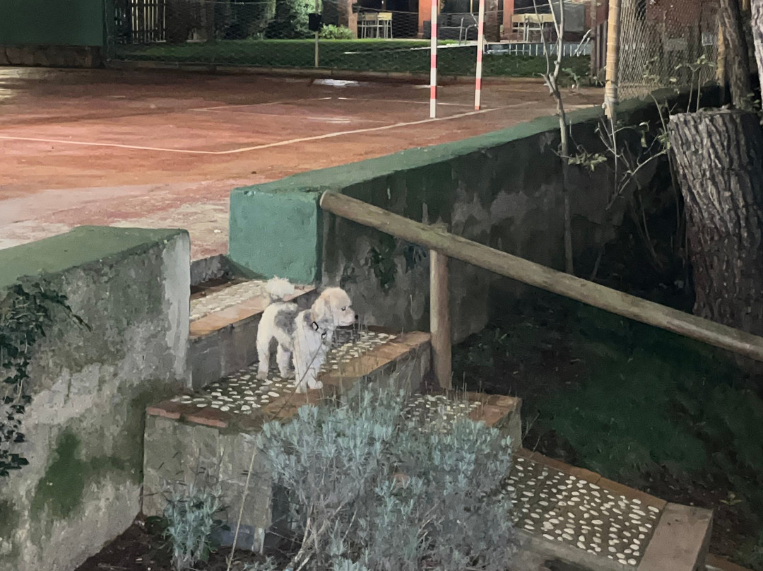 El Xalet de Prades主图