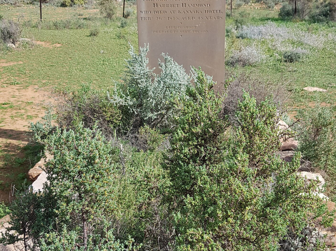 Kanyaka Ruins & Cemetery景点图片