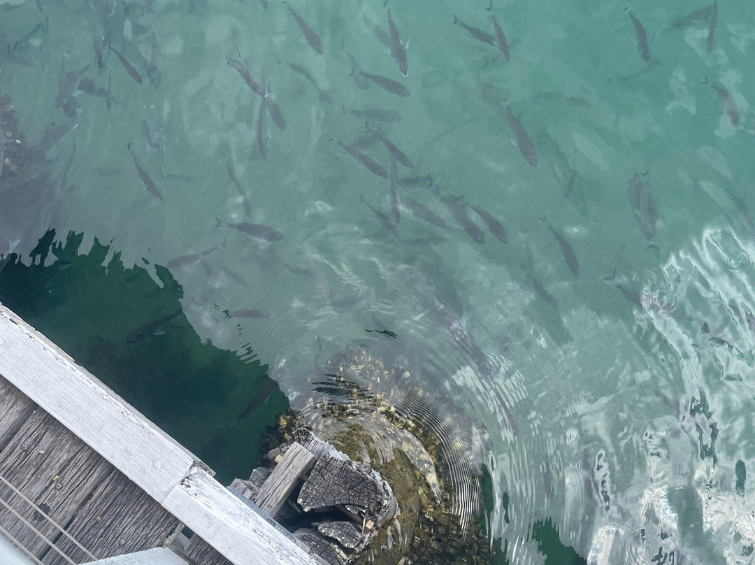 Dunbogan Boatshed-Dunbogan必去景点