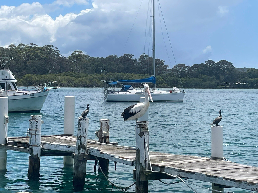 Dunbogan Boatshed-Dunbogan必去景点