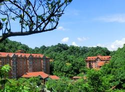 华龙村大酒店主图