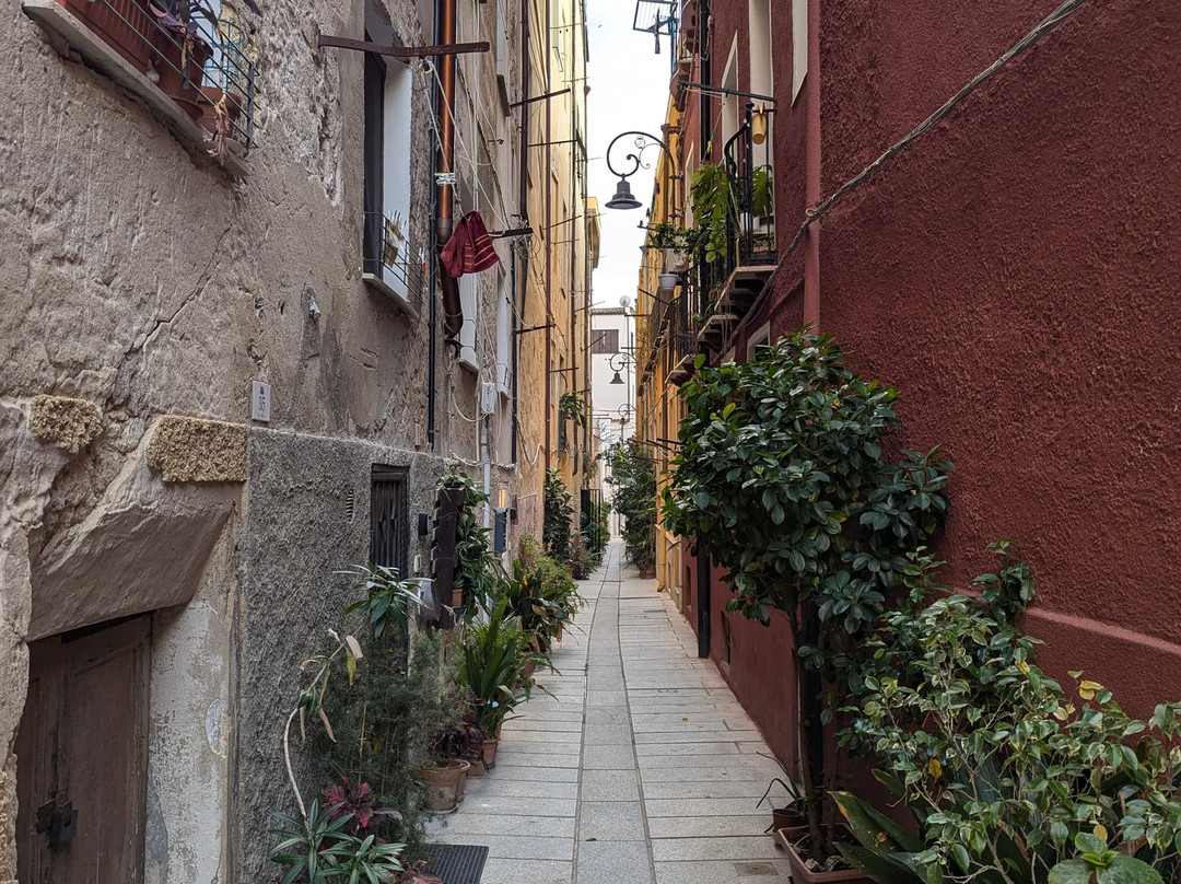 Sardinia ZonaBlu Tours景点图片